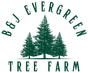 B&J Evergreen Tree Farm