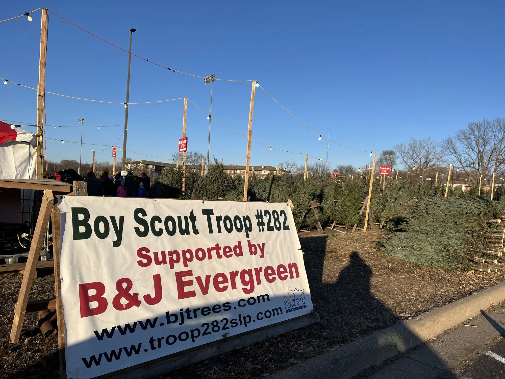 The B&J Trees lot at St. Louis Park