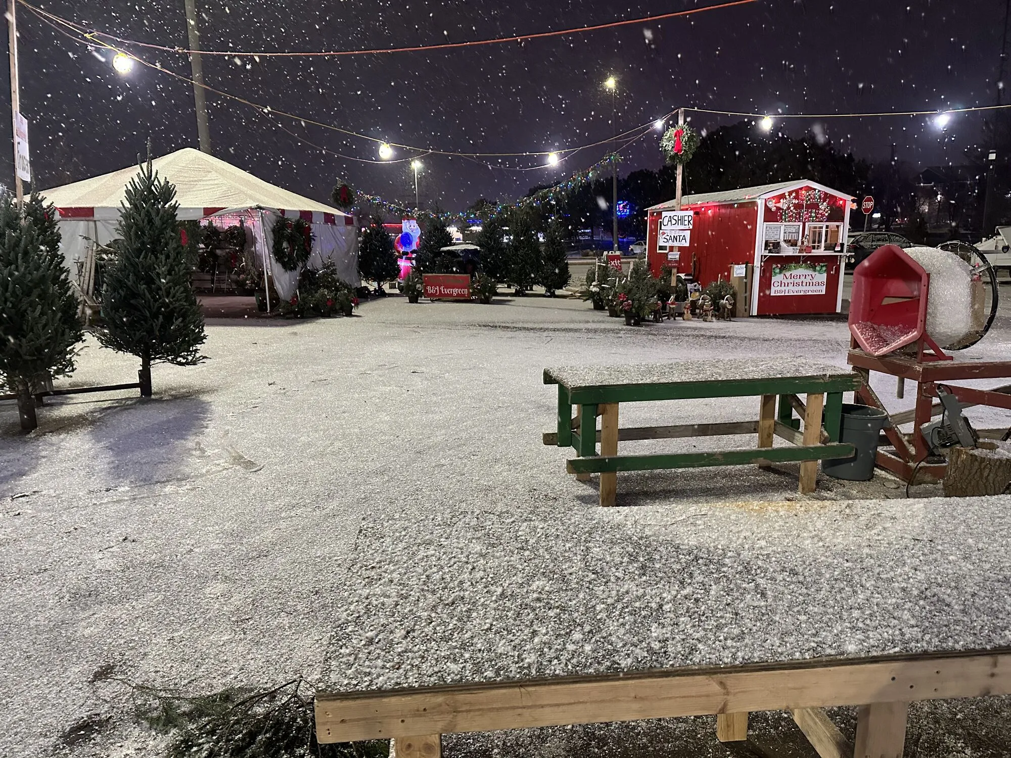 The B&J Trees lot at Eden Prairie