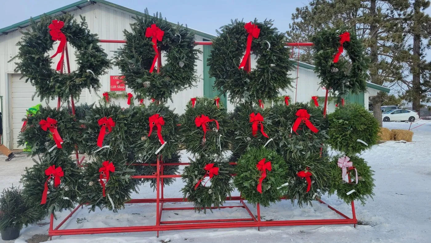 Fresh wreaths hung in rows on display at a B&J lot