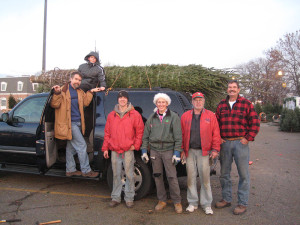 Big ole Tree selection