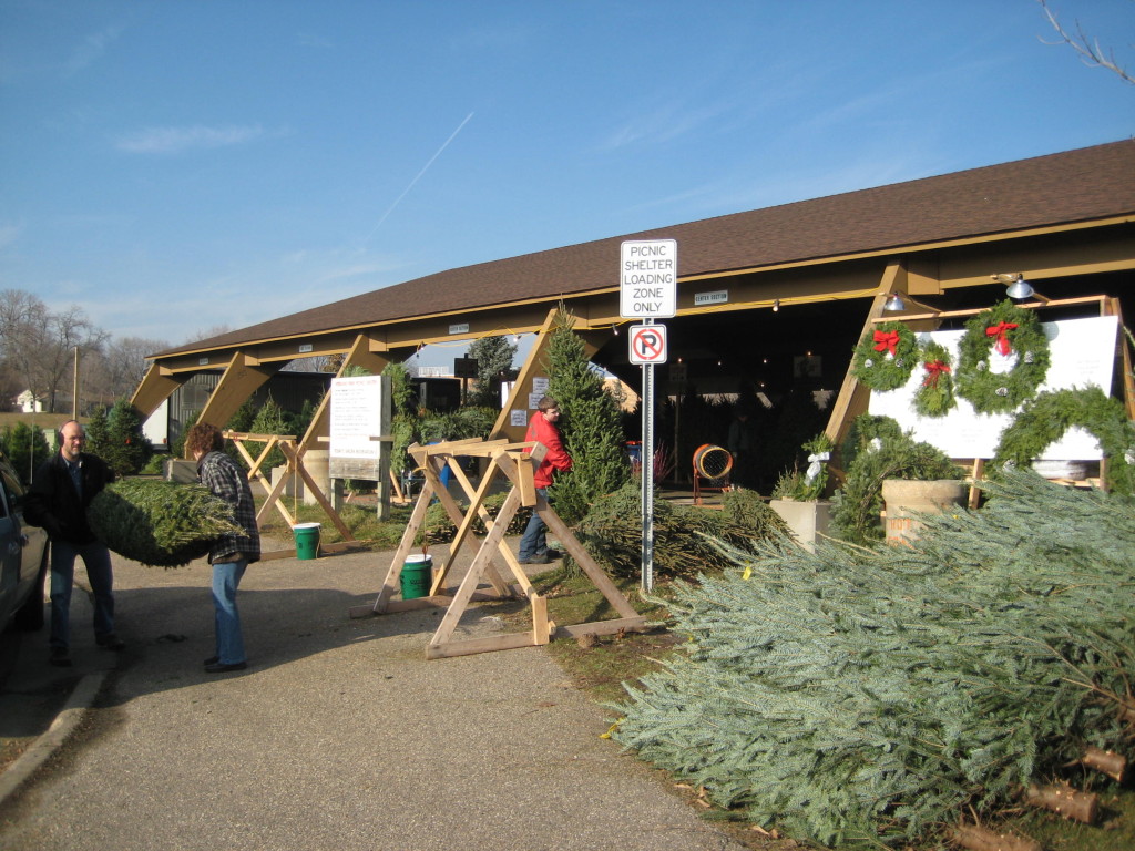 Christmas Trees at Richfield Veterans Park BJ Trees