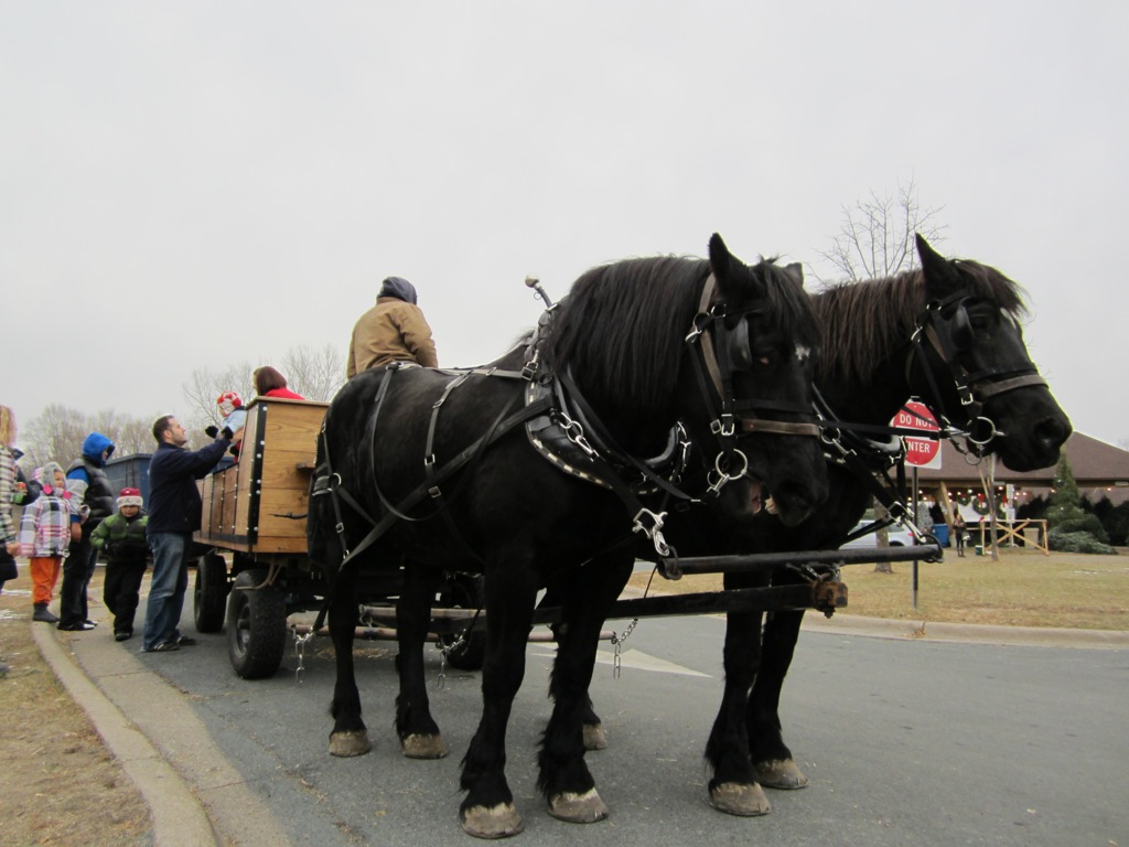 Loading up the wagon