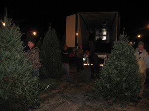 Refilling with fresh cut trees