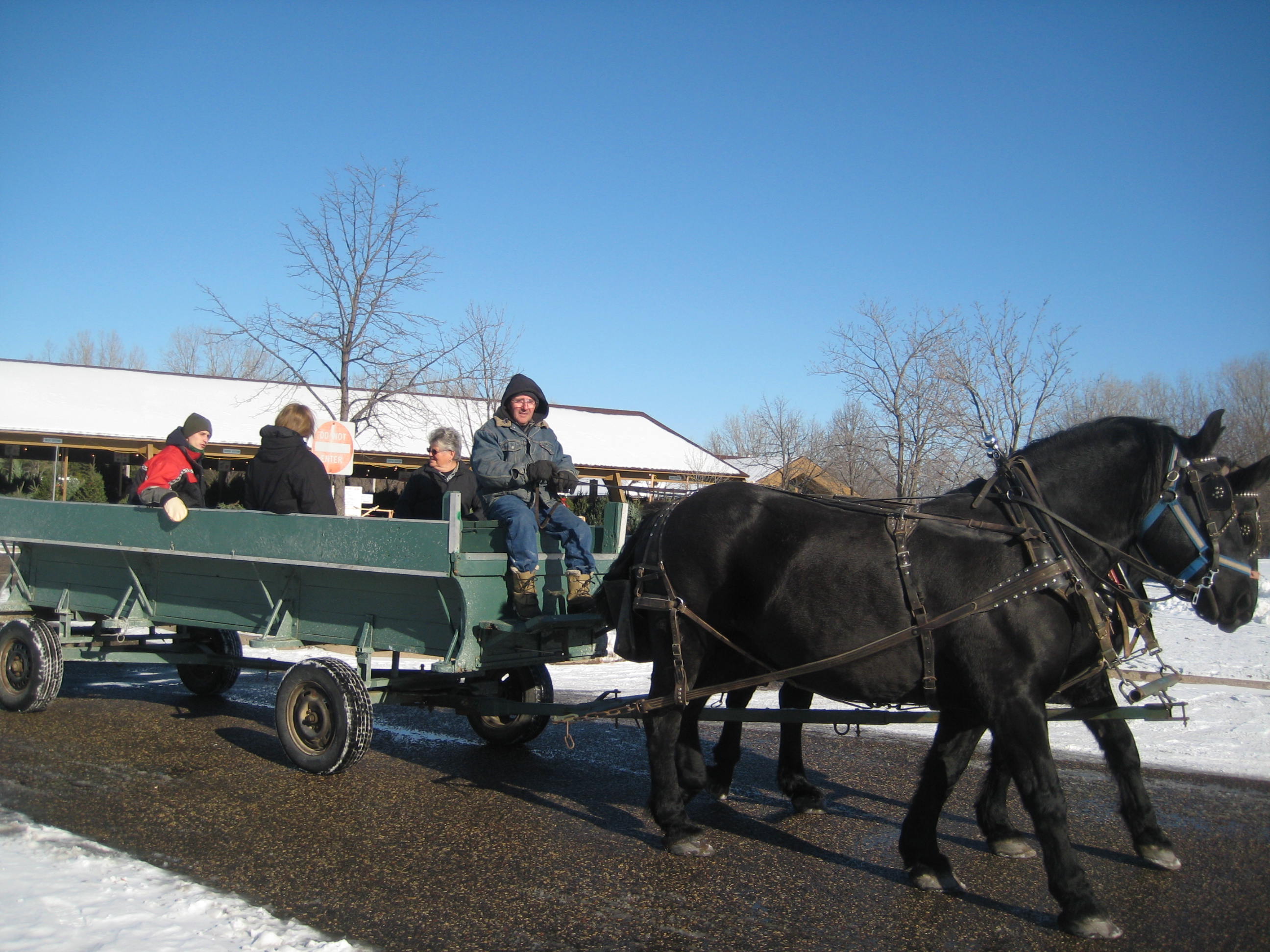 Richfield Christmas trees and hayrides