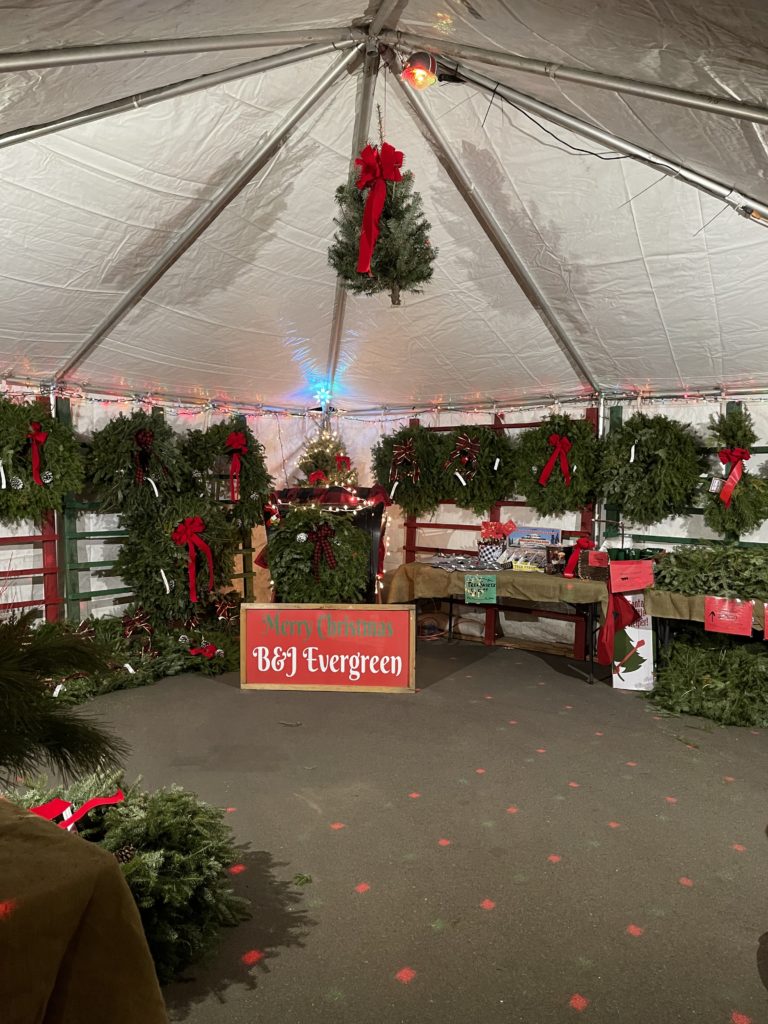 Christmas Trees at Eden Prairie Center BJ Trees